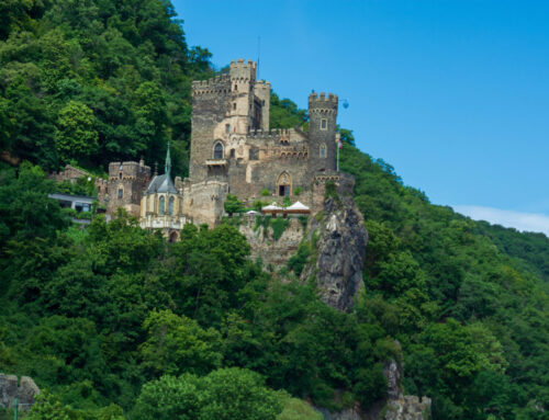 Discovering the Rhine & Moselle: Canals, Vineyards & Castles