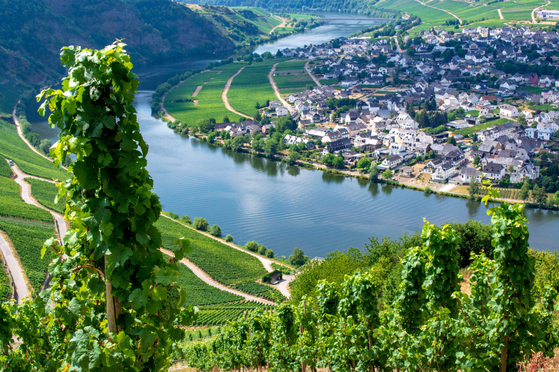 Discovering The Rhine & Moselle: Canals, Vineyards & Castles - Wheeler ...